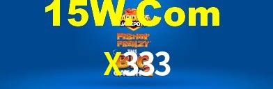 Premium Interface X333