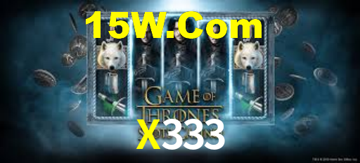 X333